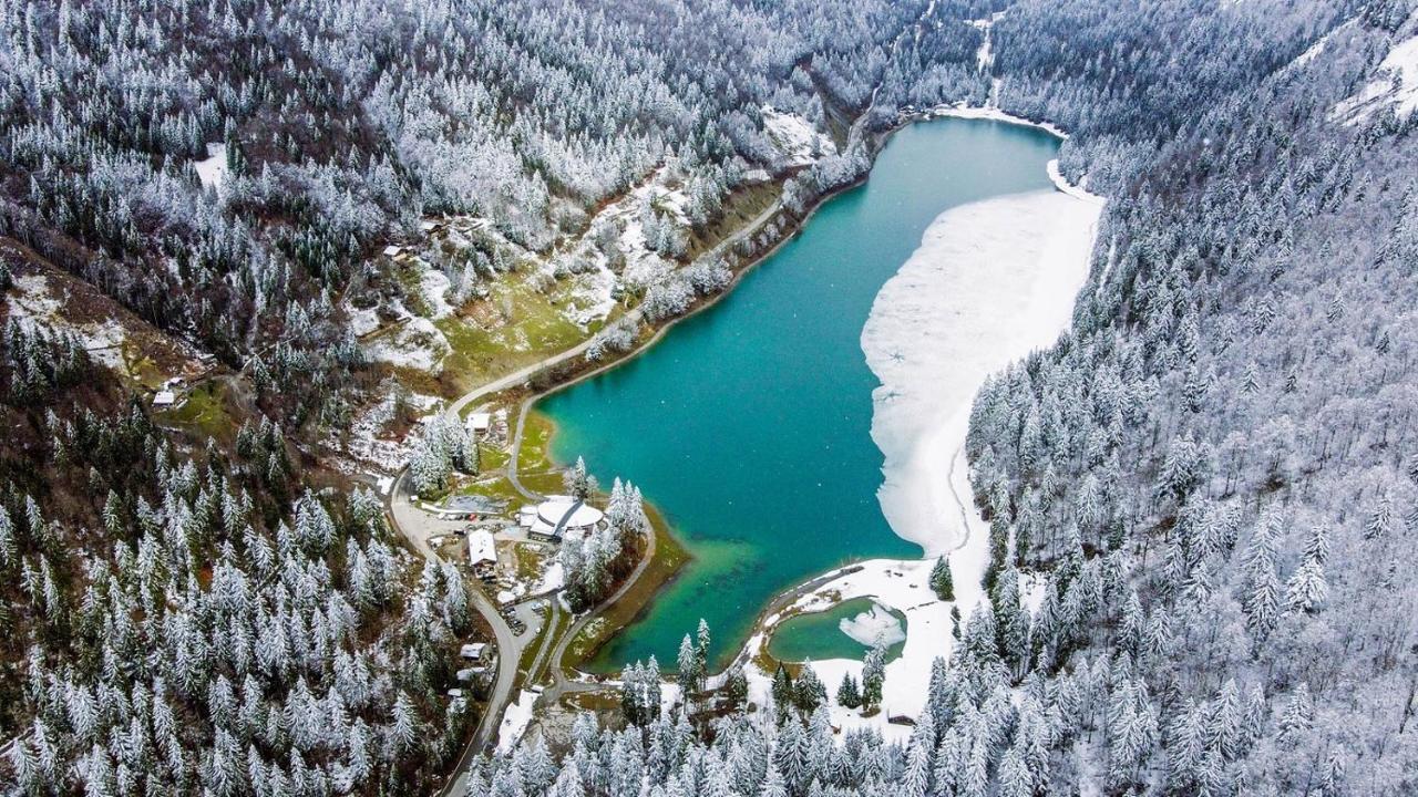 Chalet Azalee, Montriond, Morzine, Avoriaz Eksteriør billede